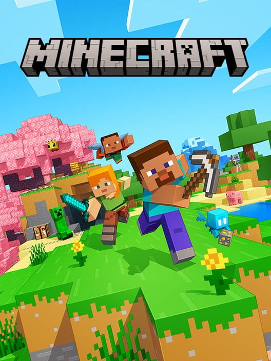 Minecraft - Switch CIB
