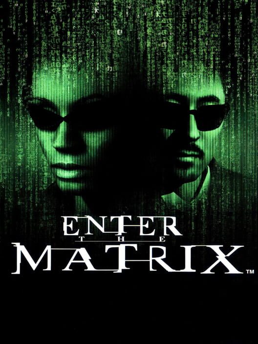 Enter the Matrix - PS2