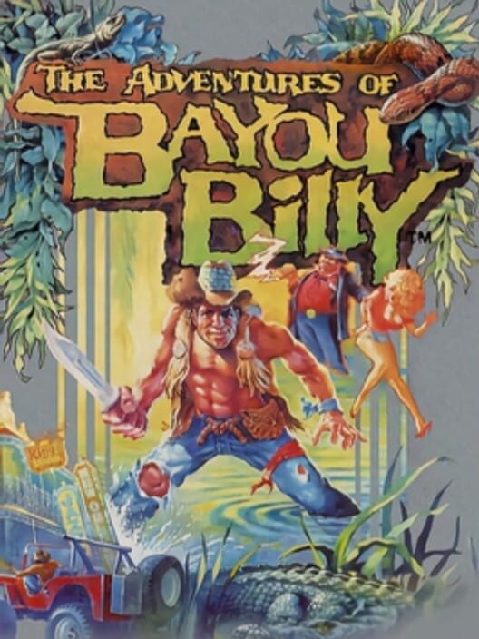 the Adventures Of Bayou Billy - NES